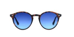 LOOKLİGHT LETOON/MATTE CHOCALATE/BLUE DEGRADE